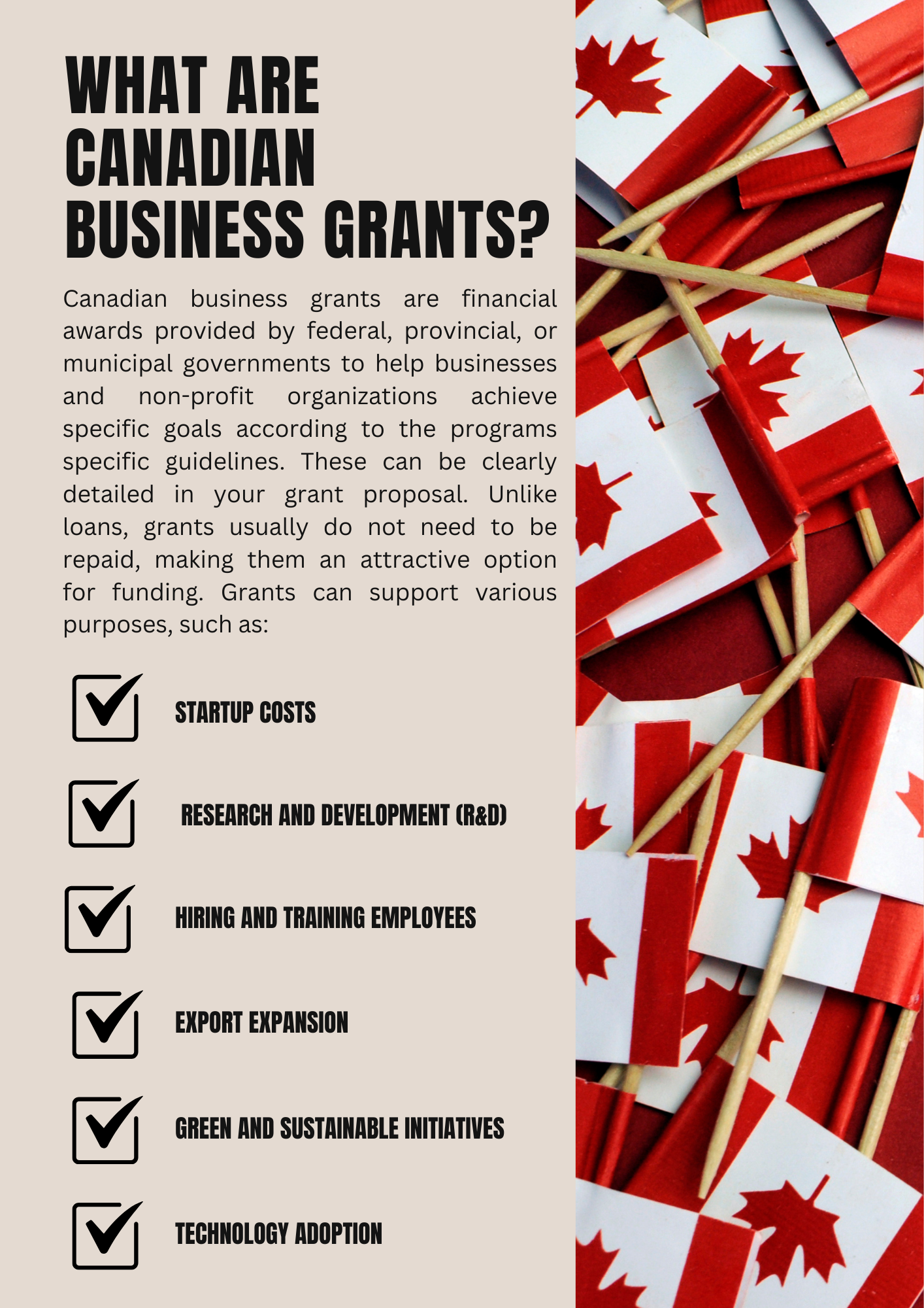 alt="What Are Canadian Business Grants"